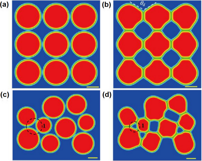 Modeling and Simulation of Sintering Process Across Scales