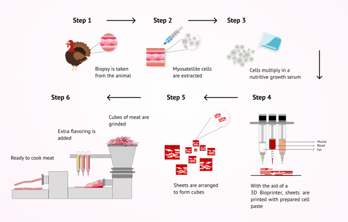 Cultured Meat is Vegan – confusion