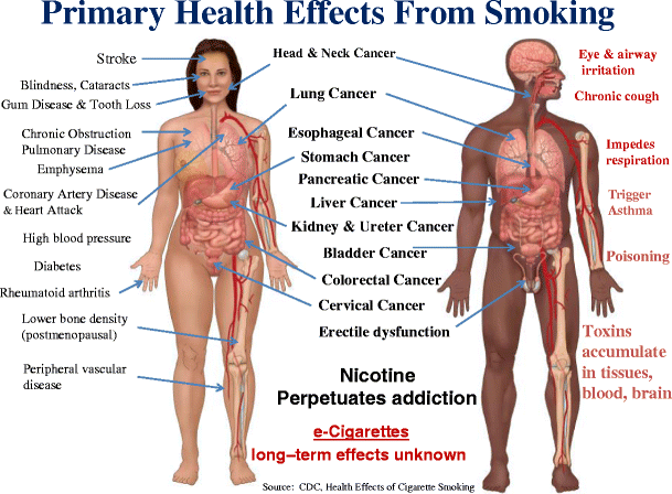 tobacco long term effects Tobacco Use and Smoke Exposure in Children: New Trends, Harm, and  Strategies to Improve Health Outcomes | Current Allergy and Asthma Reports