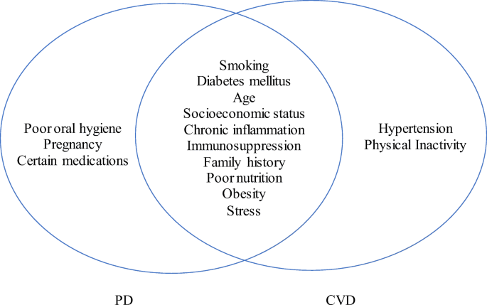 The Global Burden of Cardiovascular Diseases and Risk: A Compass for Future  Health