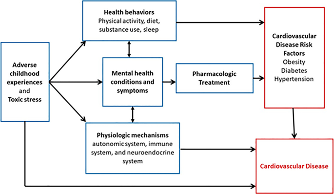 Long-term Cardiovascular Toxicity in Children, Adolescents, and