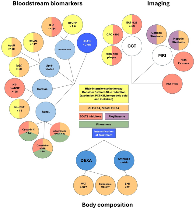 Can Clinical Biomarkers Guide Optimal Therapeutic Selection in Type 2  Diabetes Mellitus? A Scoping Review | Current Atherosclerosis Reports