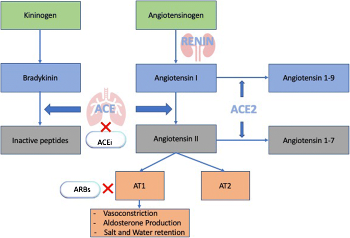 Should Angiotensin-Converting Enzyme Inhibitors ever Be Used for the  Management of Hypertension? | Current Cardiology Reports