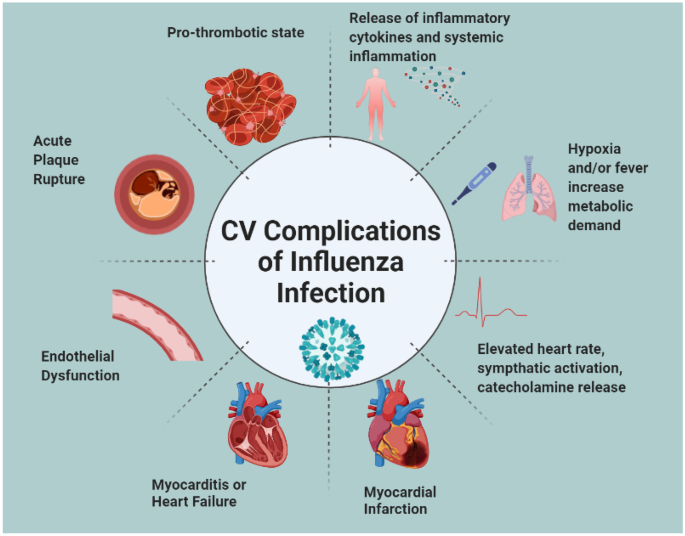 Influenza Vaccination for Cardiovascular Prevention: Further Insights from the IAMI Trial and an Updated Meta-analysis | Current Cardiology Reports