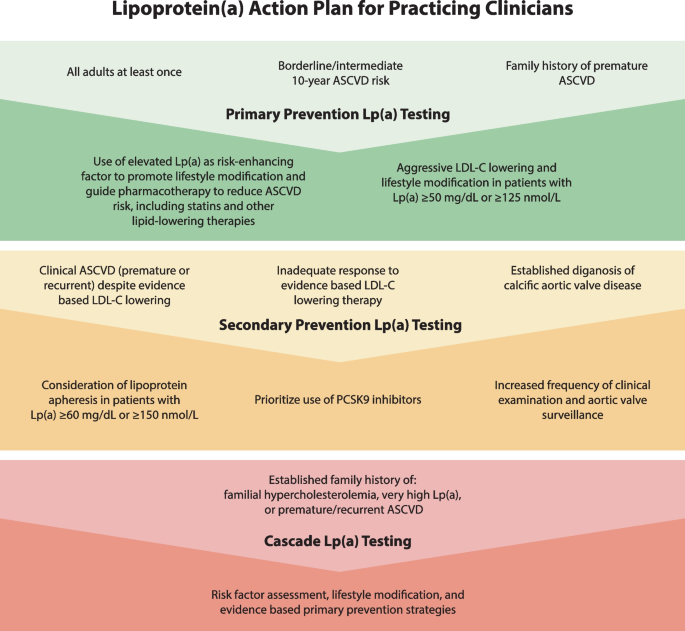 Lipoprotein(a): A Genetically Determined, Causal, and Prevalent