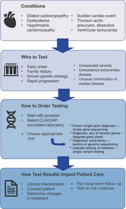 Interpreting Positive Results from Cardiac Genetic Testing (CME)