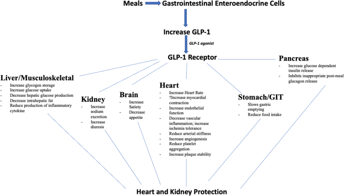 semaglutide and high heart rate increases : r/Semaglutide Diabetes drugs semaglutide and tirzepatide