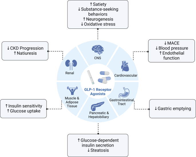 glp 1 and sibo Gastrointestinal Motility Effects of GLP-1 Receptor Agonists | Current  Gastroenterology Reports