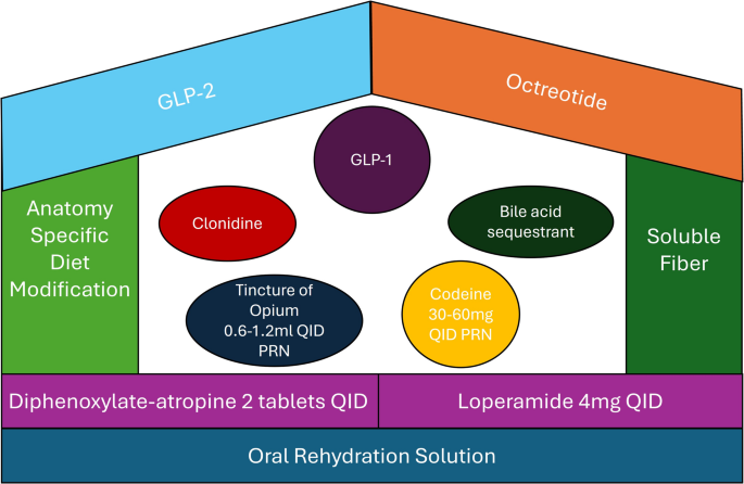 One Patient, Two Problems: Applying Short Bowel Syndrome Management Principles in Inflammatory Bowel Disease patients