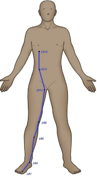 acupuncture glutathione Using Serum Metabolomic Signatures to Investigate Effects of on Pain-Fatigue-Sleep Disturbance in Breast Cancer Survivors The Liver in View of