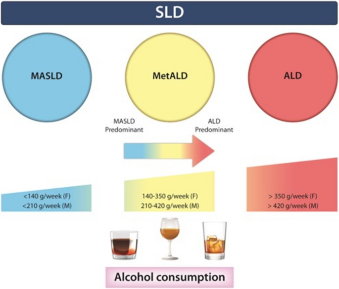 glutathione for drinking alcohol Met-ALD and ALD- Does Differentiating These Impact Management and Clinical  Outcomes? | Current Hepatology Reports