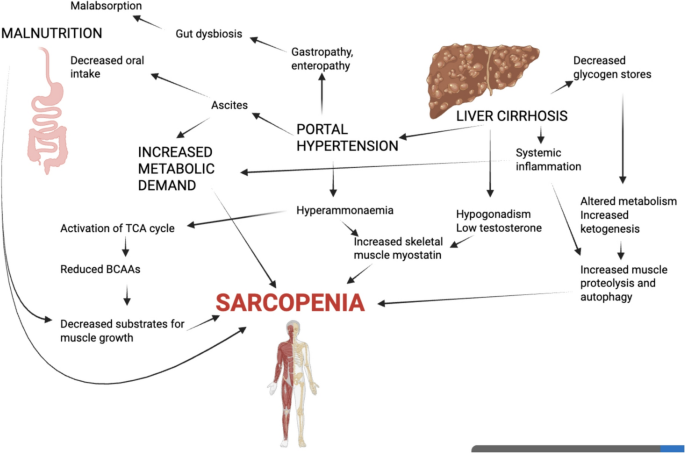 l carnitine heart attack Recent Advances in Microbiota-Associated Metabolites in Heart Failure