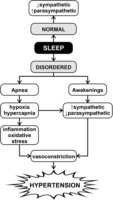bpc-157 insomnia causes or reasons or mechanism Effect of Sleep Disorders on Blood Pressure and Hypertension in Children |  Current Hypertension Reports