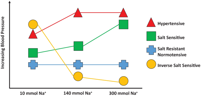 can glutathione increase blood pressure Inverse Salt Sensitivity of Pressure: Mechanisms and Potential Relevance for Prevention of Cardiovascular Disease | Current Hypertension Reports Glutamine Vs Glutamate: What's mg:5mg/5mg X 3pk sunscreen for everyday use