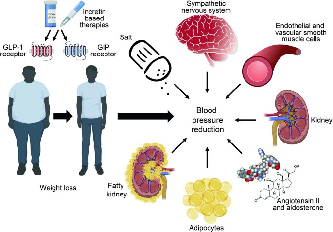 Should Incretin Agonist-Based Drugs be Considered for First Line Antihypertensive Therapy? | Current Hypertension Reports