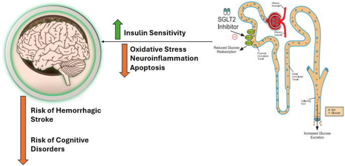 semaglutide sglt2 inhibitor Inhibitors in the Management of Cardio-Renal-Metabolic Syndrome: A New Therapeutic Era Addition of Ozempic to a