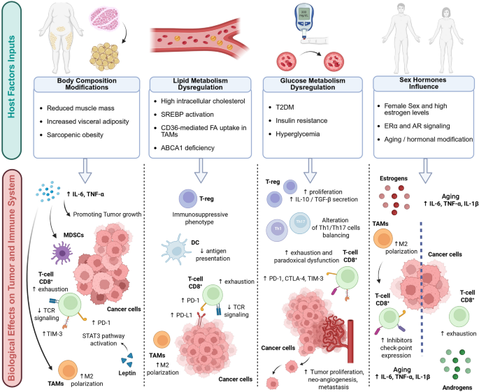 semaglutide weaken immune system Host-related Determinants of Response to Immunotherapy in Non-small Cell  Lung Cancer: The Interplay of Body Composition, Metabolism, Sex and Immune  Regulation | Current Oncology Reports