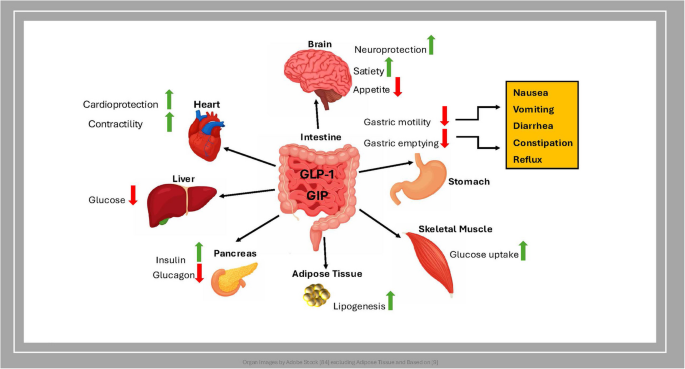 semaglutide unit dosing Semaglutide Dosage Chart: How to convert units of Semaglutide to ML?