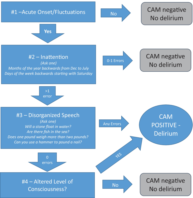 Delirium diagnostic workup algorithm flowchart