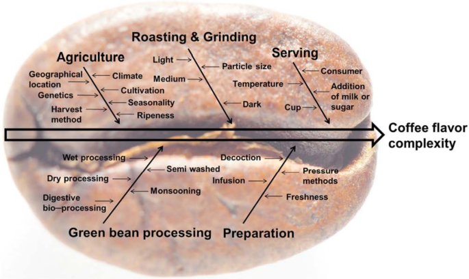 PDF) Key Aroma Compounds of Soluble Coffee