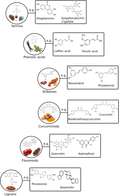 daily requirement of glutathione Polyphenols in Modern Nutrition: Green Extraction Technologies, Encapsulation, and Promissory Applications | Food and Bioprocess Technology