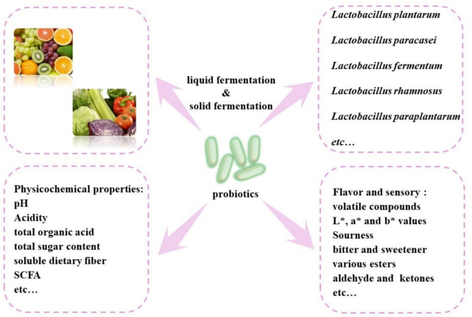 Lactic Acid Bacteria Fermentation Advances in Fruit-Vegetables: Enhancing Quality and Bioactivity | Food and Bioprocess Technology | Springer Nature Link Lactic Acid Bacteria Fermentation Advances in Fruit-Vegetables: Enhancing Quality and Bioactivity | Food and Bioprocess Technology | Springer Nature Link