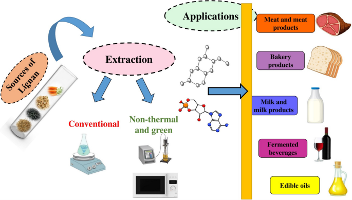 zhou 2011 glutathione s-transferase activator furanone Lignans as Functional Antioxidants in Food Systems: A Review on Its Structural Insights, Extraction Strategies, Mechanisms, and Implications in Food Industrial Applications | Food and Bioprocess Technology Bundle Builder Quantity:9 Pack Arbutin 7% Intensive Spot