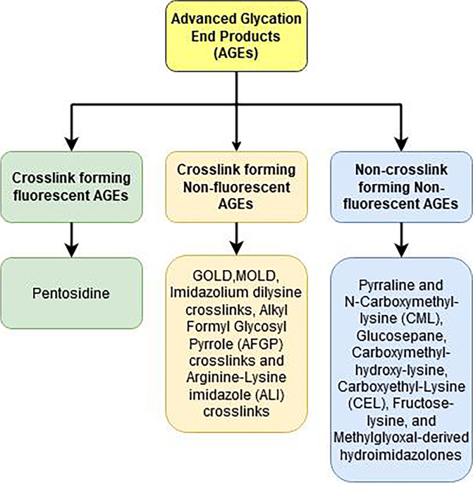causes of high glutathione Glutathione Deficiency Symptoms: Is Poor Sleep Just the Beginning? |  Cardiology & Neurology Specialists located in Queens, Forest Hills and  Brighton Beach, Brooklyn, NY