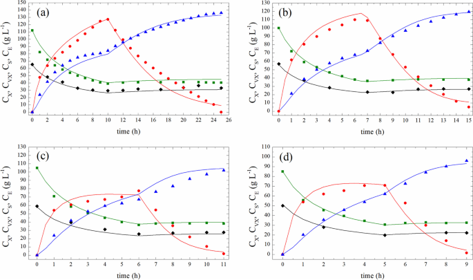 Mathematical Modeling of Fed-Batch Ethanol Fermentation Under Very