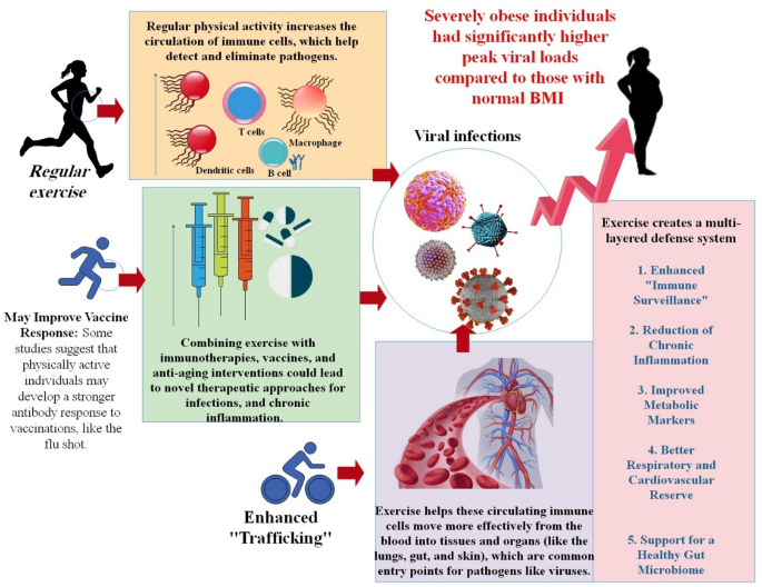 warm family glp-1 six in one reviews An Overview of the Effects of Exercise on Viral Infection in Obesity:  Recent Advances and Potential Mechanisms | Applied Biochemistry and  Biotechnology