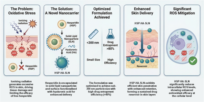 ishin glutathione bad effects Hyaluronic Acid-functionalized Hesperidin-loaded Solid Lipid Nanoparticles  for Mitigating Oxidative Stress: A Potential Strategy for Radiation-induced  Skin Injury | Applied Biochemistry and Biotechnology