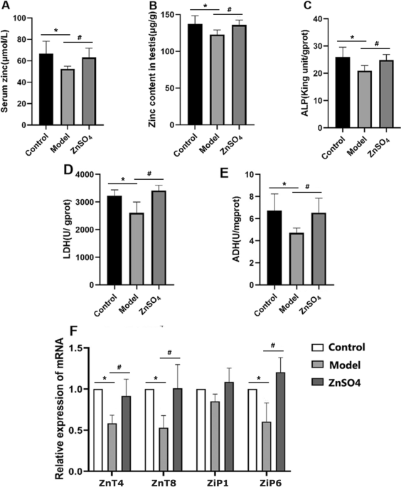 Cholestasis Alters miR-34c-5p Expression in the Testes of Male Wistar Rats, Gene, Cell and Tissue