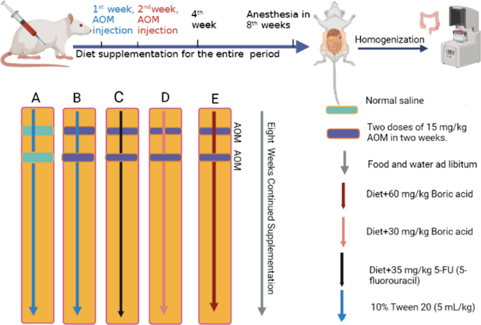 glutathione injection price iraq Boric Acid (Boron) Attenuates AOM-Induced Colorectal Cancer in Rats by Augmentation of Apoptotic and Antioxidant Mechanisms | Biological Trace Element Research كريم كوري للتصبغات العنيدة