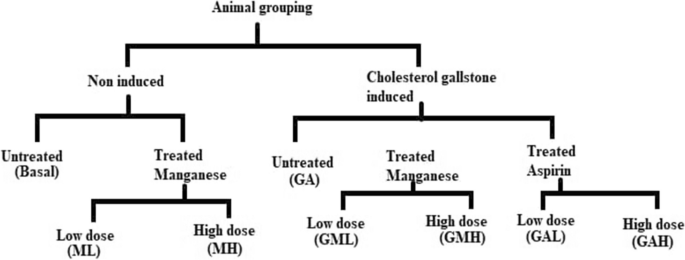is glutathione good for gallstones Attenuation of Experimental Cholesterol Gallstone Formation by Manganese Chloride in Mice: Role of NF-κβ Pathways | Biological Trace Element Research