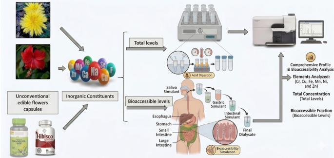 Multielement Composition and in Vitro Bioaccessibility in Brazilian Edible Floral Supplement Capsules Containing Dandelion and Hibiscus - Biological Trace Element Research