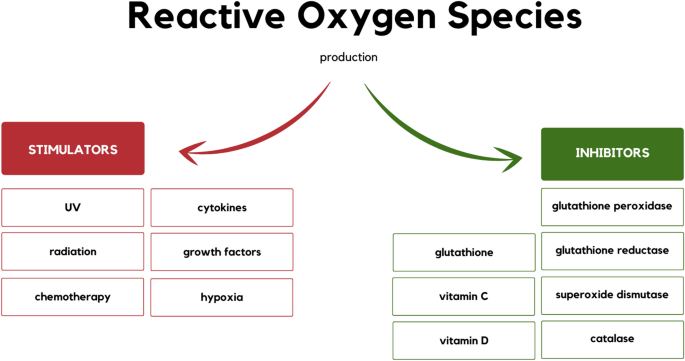 is glutathione carcinogenic Oxidative Stress and its Role in Carcinogenesis | Cell Biochemistry and  Biophysics
