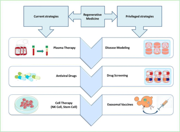 Frontiers  Engineering Tissue-Informed Biomaterials to Advance Pulmonary  Regenerative Medicine