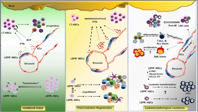 glutathione peroxidase alzheimers disease Frontiers