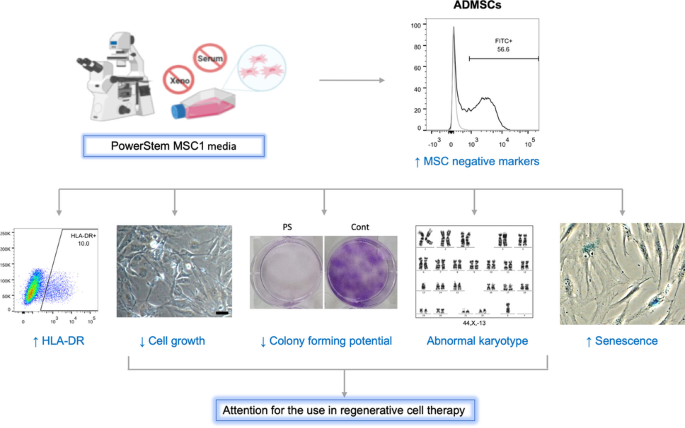 Characterizing human mesenchymal stromal cells' immune-modulatory potency  using targeted lipidomic profiling of sphingolipids - Cytotherapy