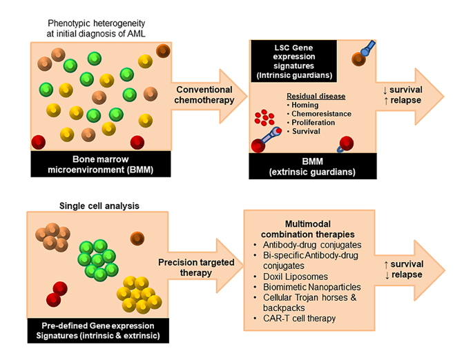 Targeting menin: a promising therapeutic strategy for susceptible acute  leukemia subtypes