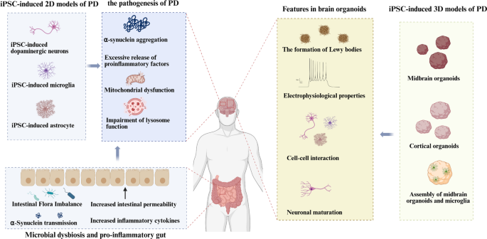 how long does ipamorelin last in the fridge Ipamorelin 10mg (10 vials)