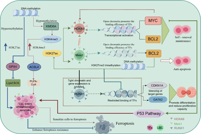 cjc 1295 ipamorelin how to take cjc-1295 + ipamorelin how to take Dialing in one of the most effective  foundations for performance and recovery ⚡ CJC-1295 paired with Ipamorelin  is all about helping your body naturally optimize