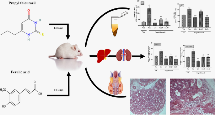 ipamorelin cjc 1295 for women Vitality Surge (CJC-1295 + Ipamorelin)