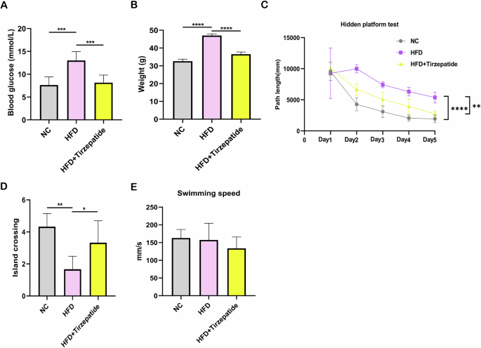 fisher and sigma tirzepatide Tirzepatide administration improves cognitive impairment in HFD mice by  regulating the SIRT3-NLRP3 axis | Endocrine