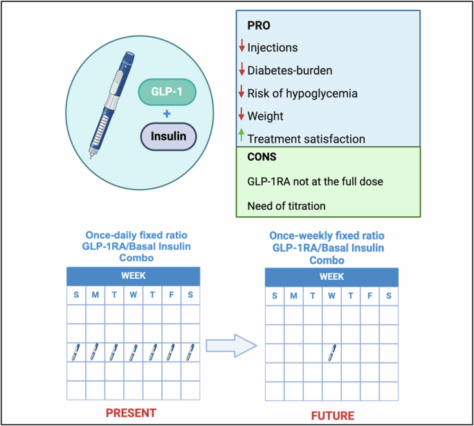 Fixed-ratio combination of GLP-1 receptor agonist and basal insulin:  simplifying type 2 diabetes treatment | Endocrine