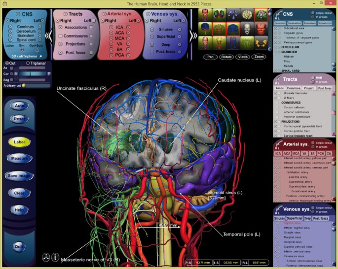 Towards an Architecture of a Multi-purpose, User-Extendable Reference Human  Brain Atlas