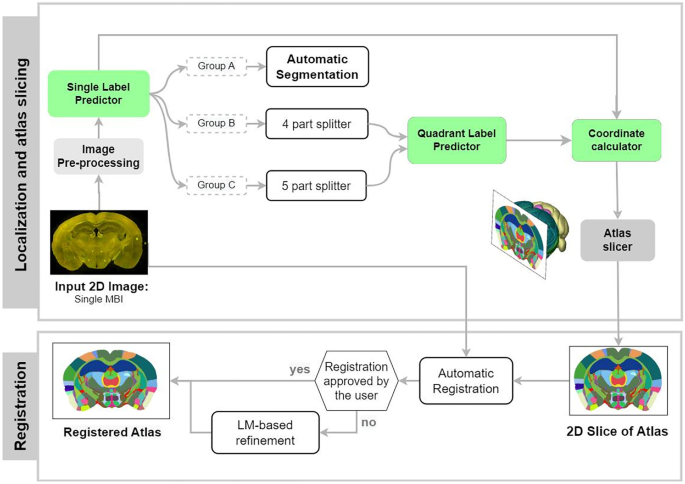 DeepSlice: rapid fully automatic registration of mouse brain imaging to a  volumetric atlas