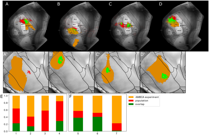 DeepSlice: rapid fully automatic registration of mouse brain imaging to a  volumetric atlas