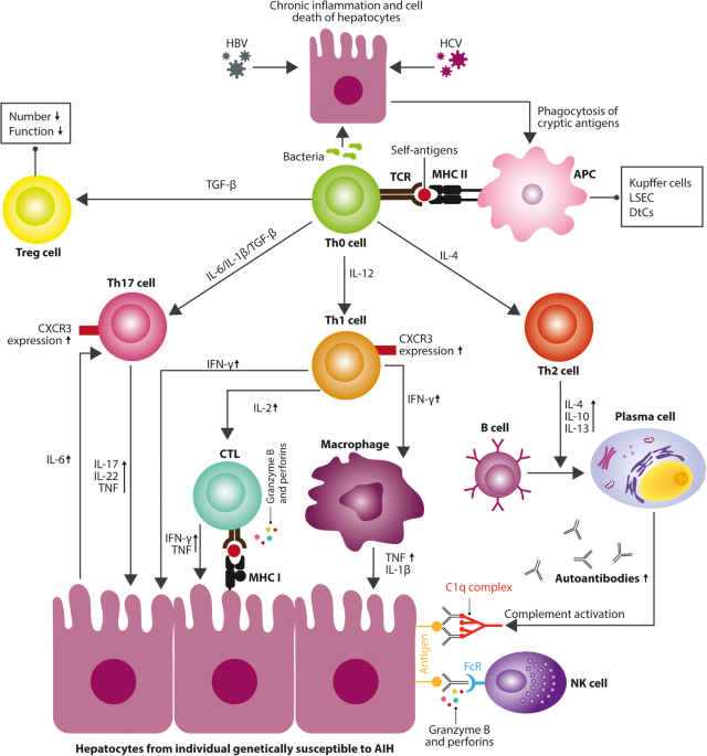 glutathione treatment for autoimmune disease Glutathione: The Master Antioxidant Health RedRiver Health and Wellness Center Glutathione Treatments 101: Part 1
