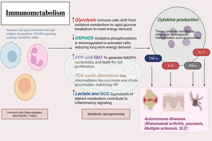 glutathione insulin transhydrogenase Nicotinamide Adenine Dinucleotide (Phosphate) Transhydrogenase - an overview glutathione insulin transhydrogenase Nicotinamide Adenine Dinucleotide (Phosphate) Transhydrogenase - an overview